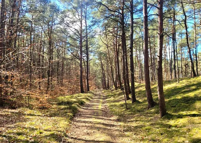 Apartament Baltic Park 500m Do Morza *